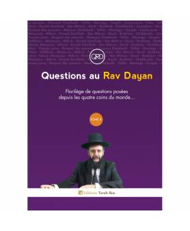Question au Rav DAYAN (Tome 4)